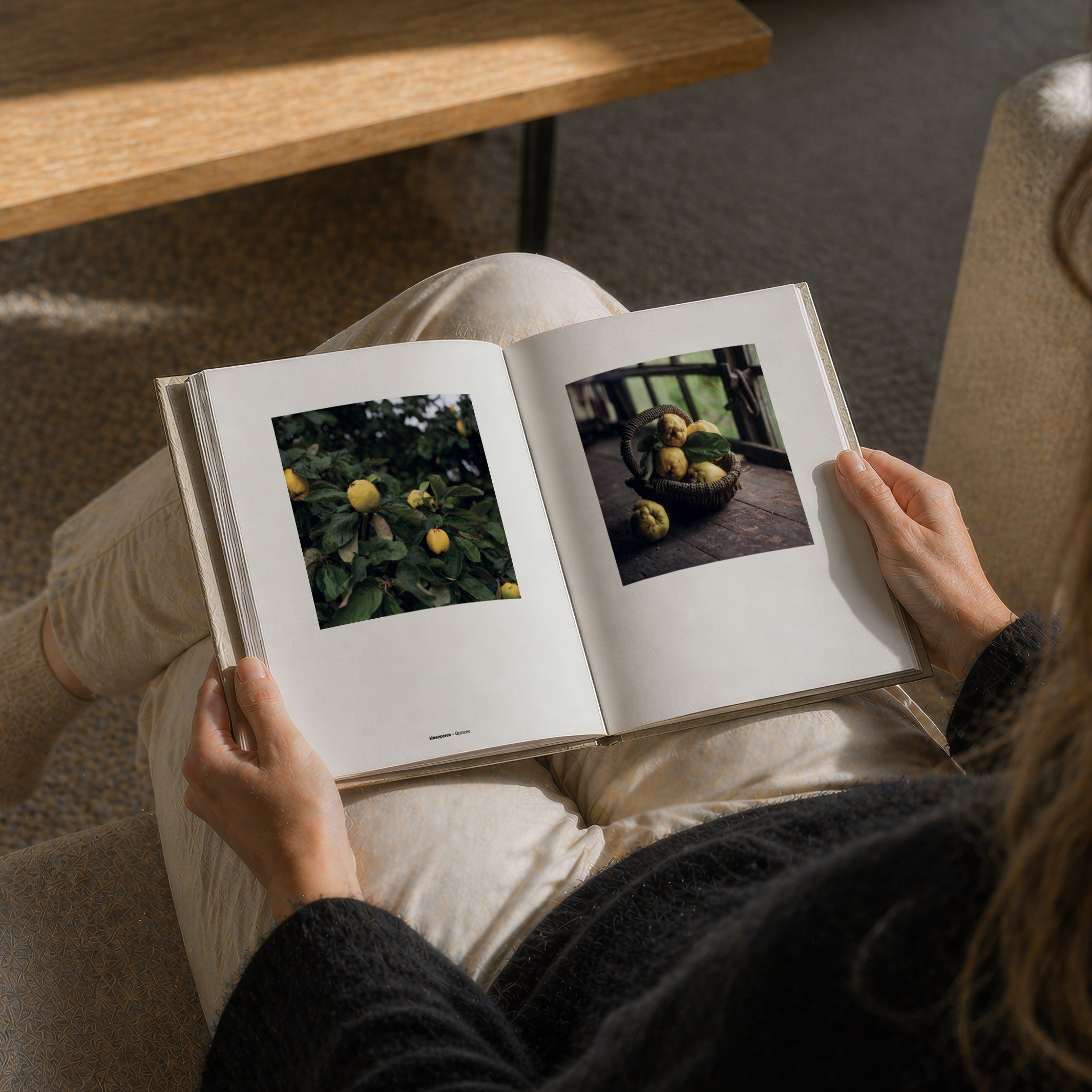Book - Around the Lighthouse