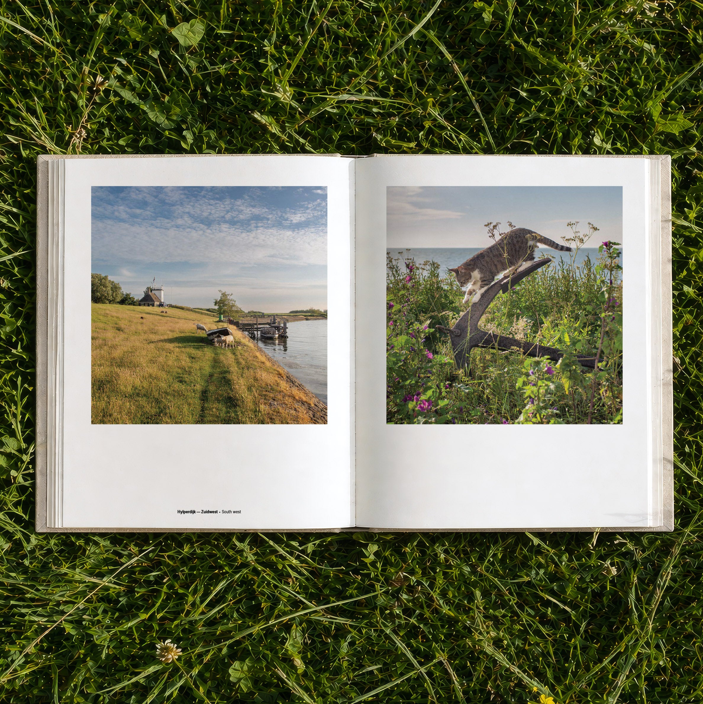 Book - Around the Lighthouse