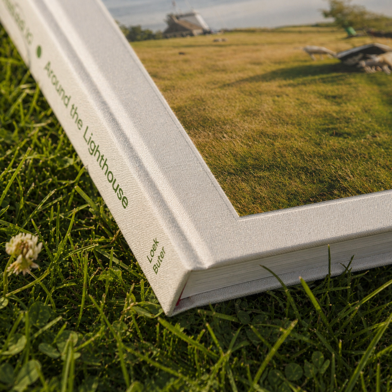 Special Edition - Around the Lighthouse